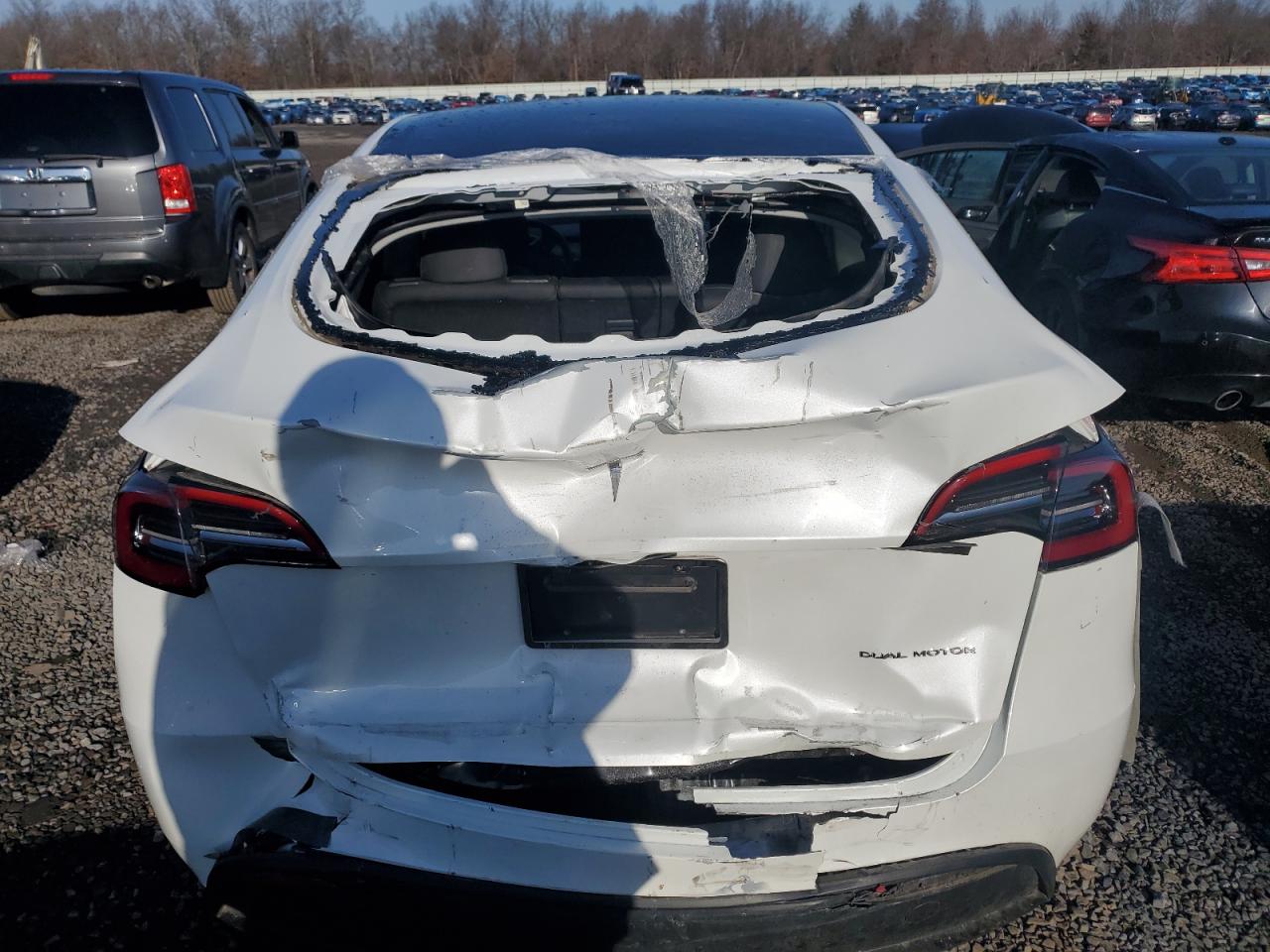 2023 TESLA MODEL Y  VIN:7SAYGAEE1PF611713