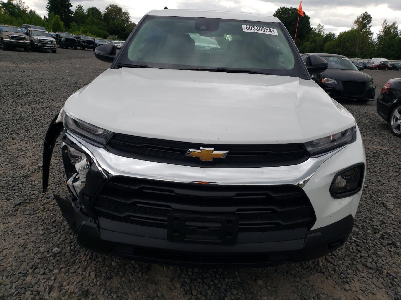 2022 CHEVROLET TRAILBLAZER LS VIN:KL79MMS22NB110557