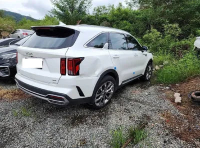 2023 Kia Sorento KNARG81FHPA195674 VIN:KNARG81FHPA195674
