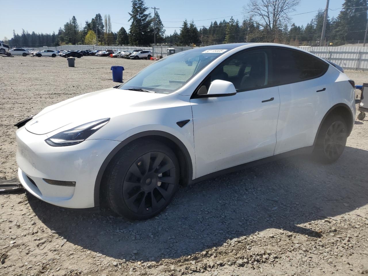 2023 TESLA MODEL Y  VIN:7SAYGDEE3PF751019