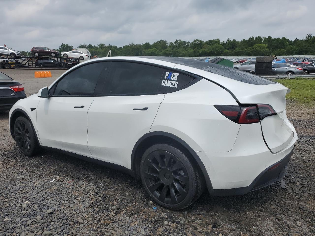 2022 TESLA MODEL Y  VIN:7SAYGDEE5NF312028