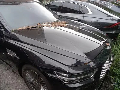 2020 Genesis G90 NONE VIN: