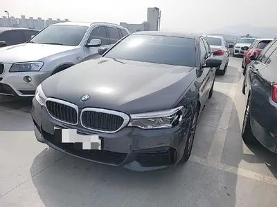 2019 BMW 520 WBAJF510XLWW55120 VIN:WBAJF510XLWW55120