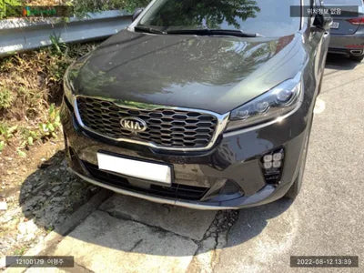 2019 Kia Sorento KNAPS81ABLA610605 VIN:KNAPS81ABLA610605