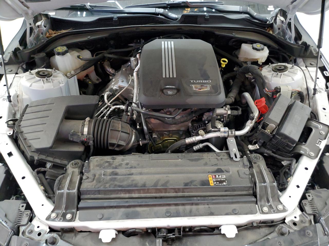 2023 CADILLAC CT4 PREMIUM LUXURY VIN:1G6DB5RK6P0138412