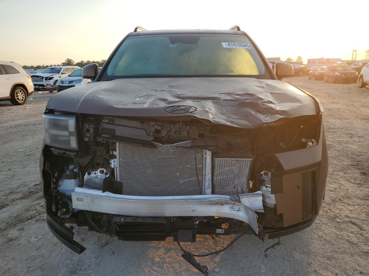 2024 HYUNDAI SANTA FE CALLIGRAPHY VIN:5NMP5DGLXRH019627