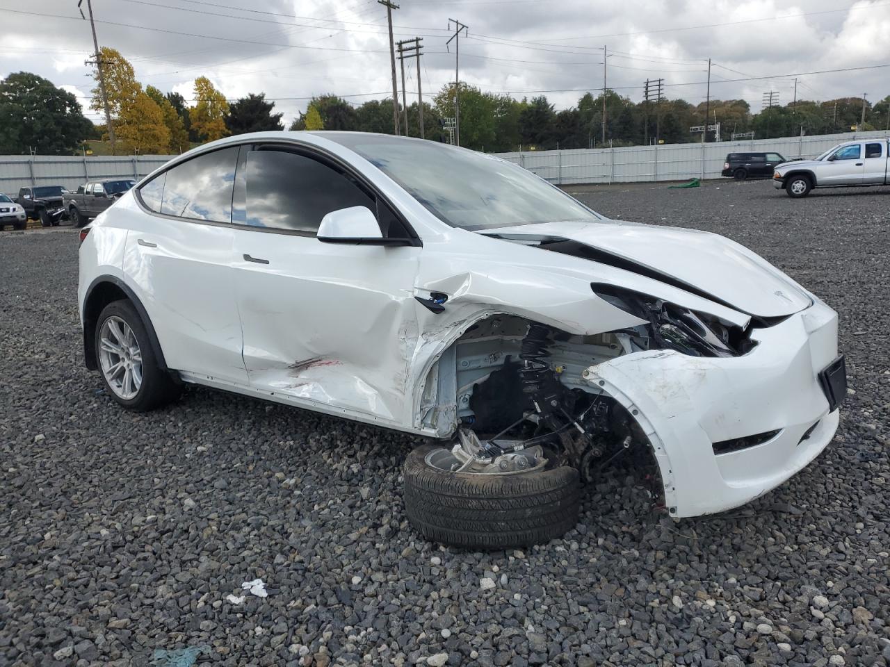2024 TESLA MODEL Y  VIN:7SAYGDEE1RF084714