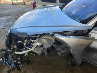 2021 Audi 50 WAUZZZF88MN005564 VIN:WAUZZZF88MN005564