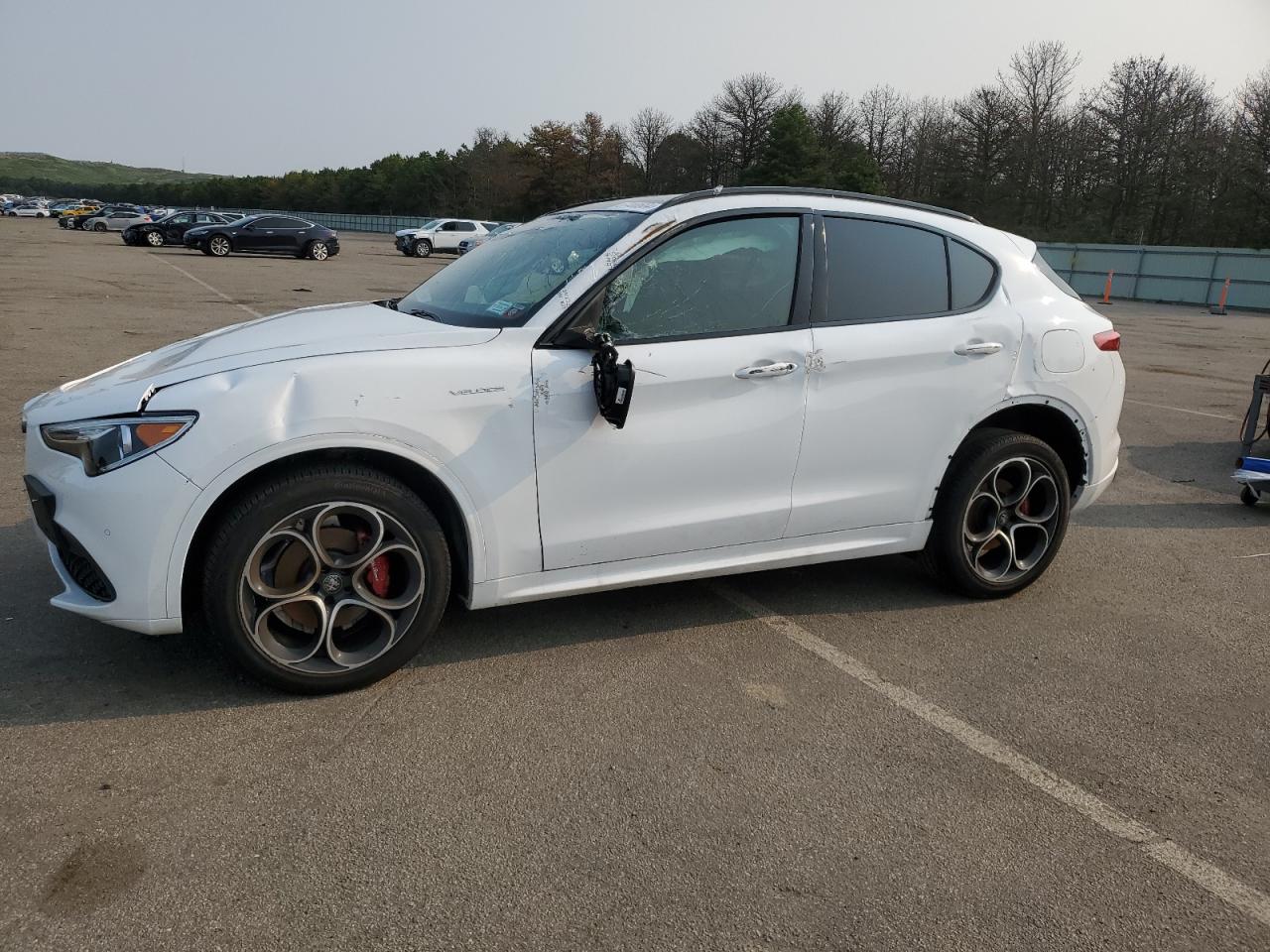 2023 ALFA ROMEO STELVIO TI VIN:ZASPAKBN5P7D55139