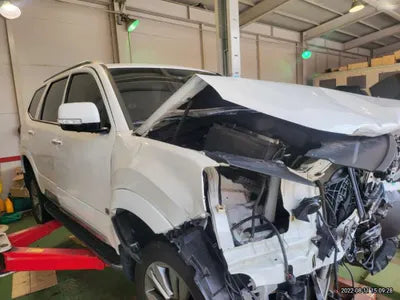 2020 Kia Mohave KNAKN814DLA195252 VIN:KNAKN814DLA195252