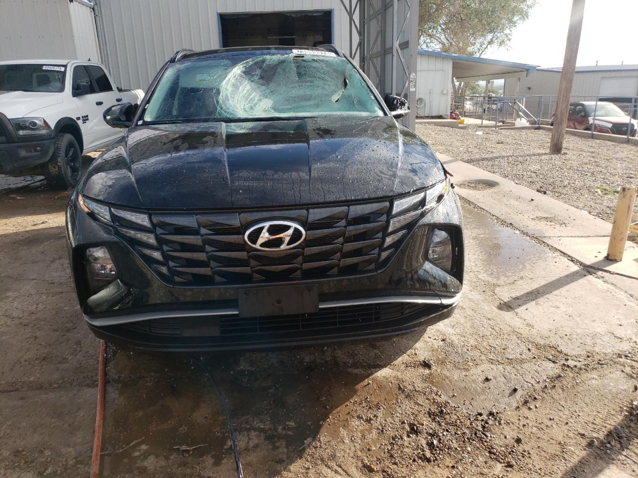 2024 HYUNDAI TUCSON SEL VIN:5NMJBCDE5RH344975