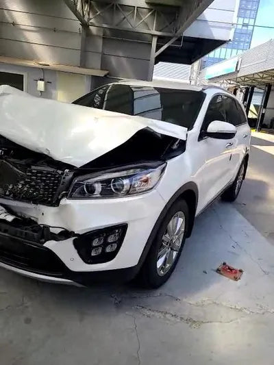 2017 Kia Sorento KNAPH81ABHA377346 VIN:KNAPH81ABHA377346
