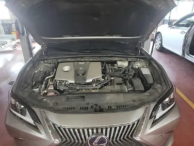 2019 Lexus ES 300 JTHB21B13K2038973 VIN:JTHB21B13K2038973