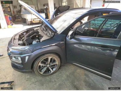 2018 Hyundai Kona KMHK7815GJU099167 VIN:KMHK7815GJU099167