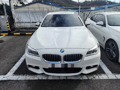 2016 BMW 528 WBA5A5100GG602572 VIN:WBA5A5100GG602572