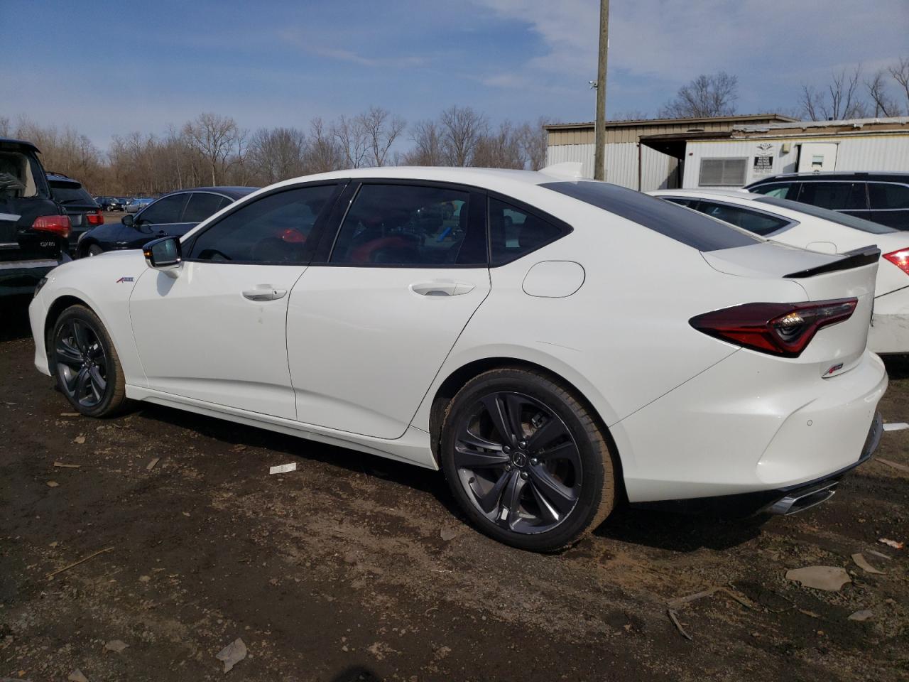 2023 ACURA TLX A-SPEC VIN:19UUB6F55PA005007