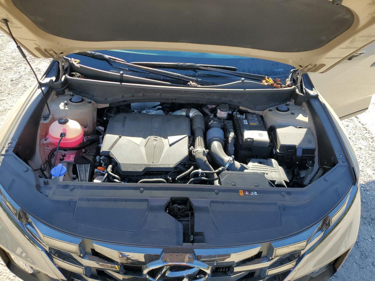 2023 HYUNDAI SANTA CRUZ LIMITED VIN:5NTJEDAF5PH049855