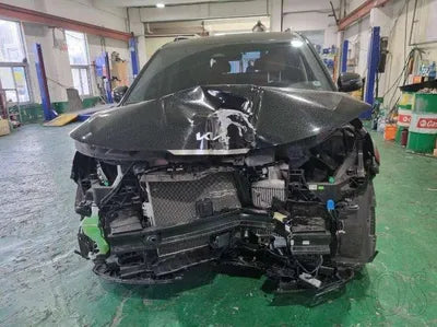 2021 Kia Carnival KNANC81BBMS063366 VIN:KNANC81BBMS063366