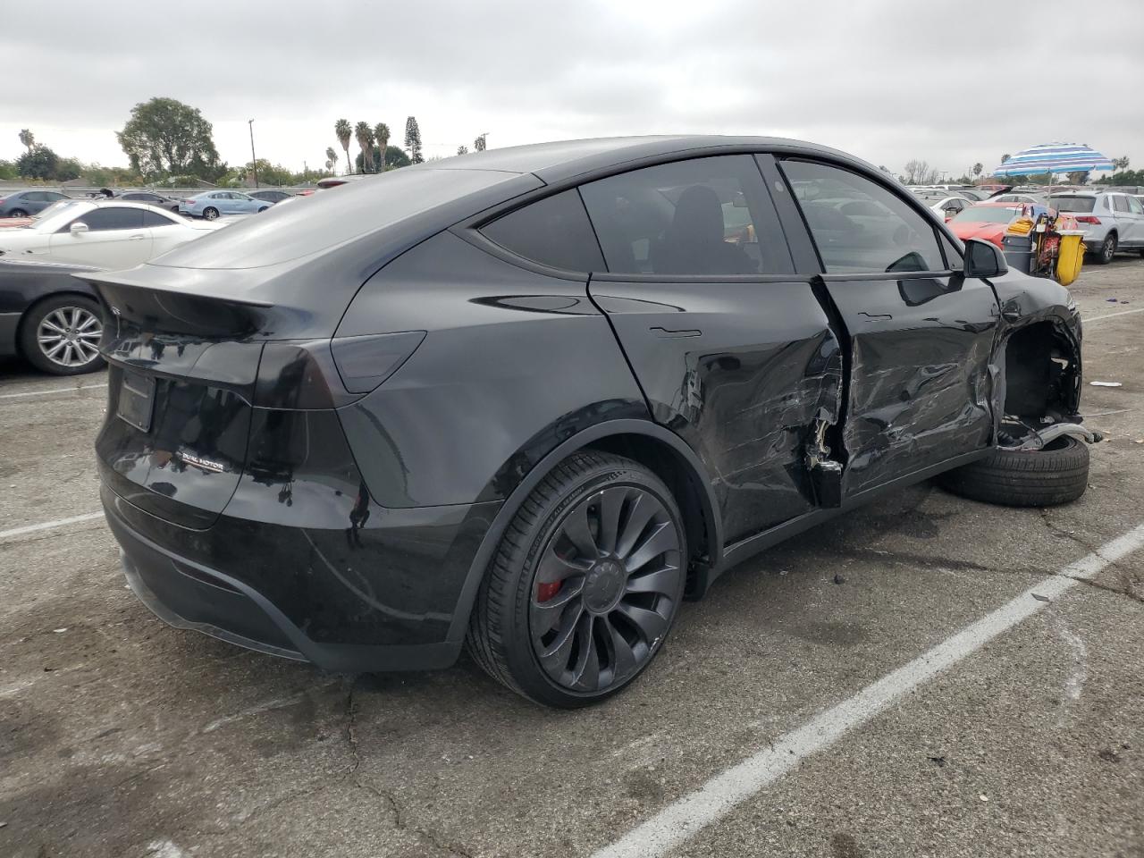 2024 TESLA MODEL Y  VIN:7SAYGDEF0RF057092