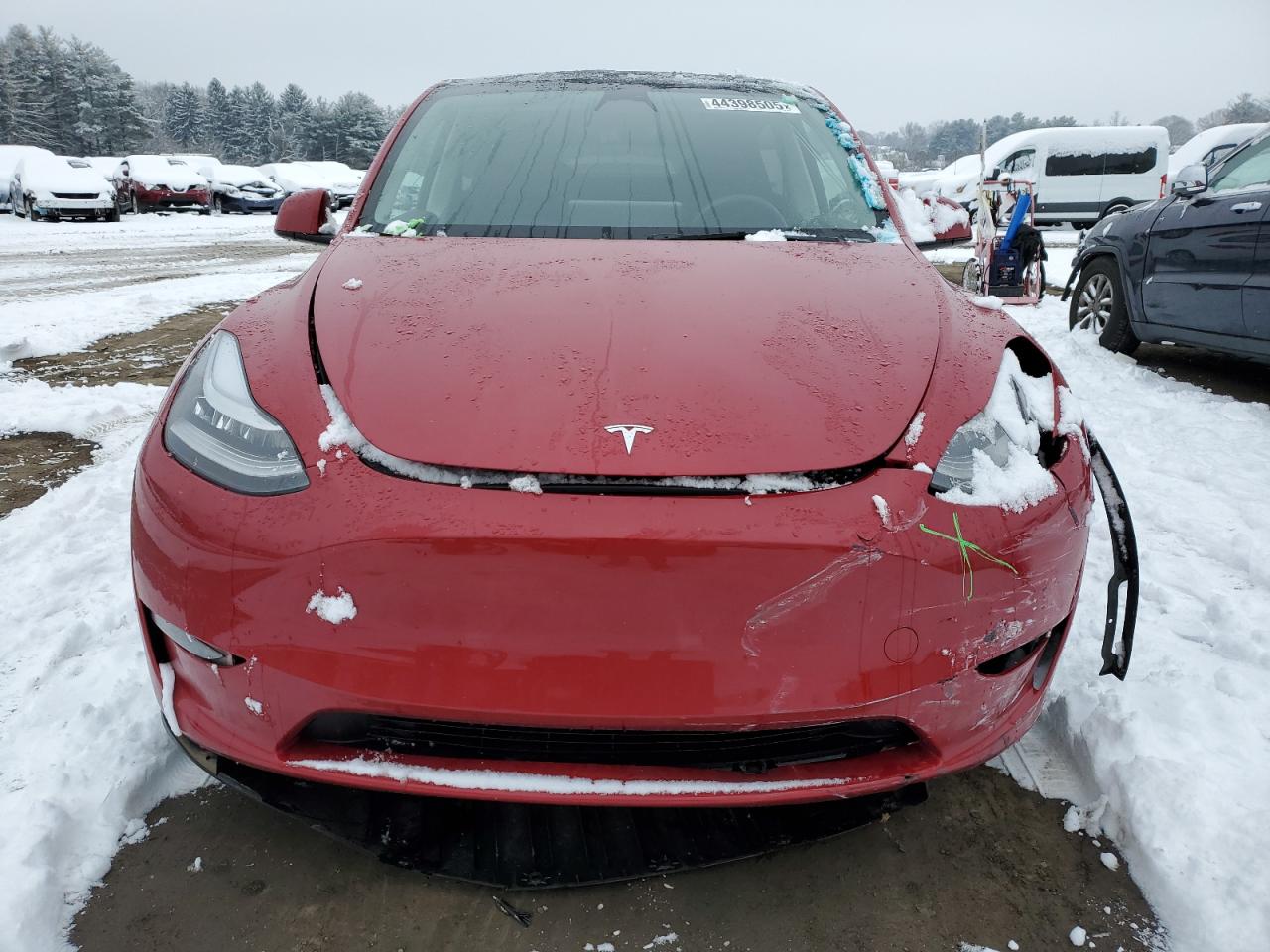 2023 TESLA MODEL Y  VIN:7SAYGDEE1PA128933
