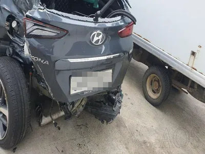 2018 Hyundai Kona KMHK4815GJU271890 VIN:KMHK4815GJU271890