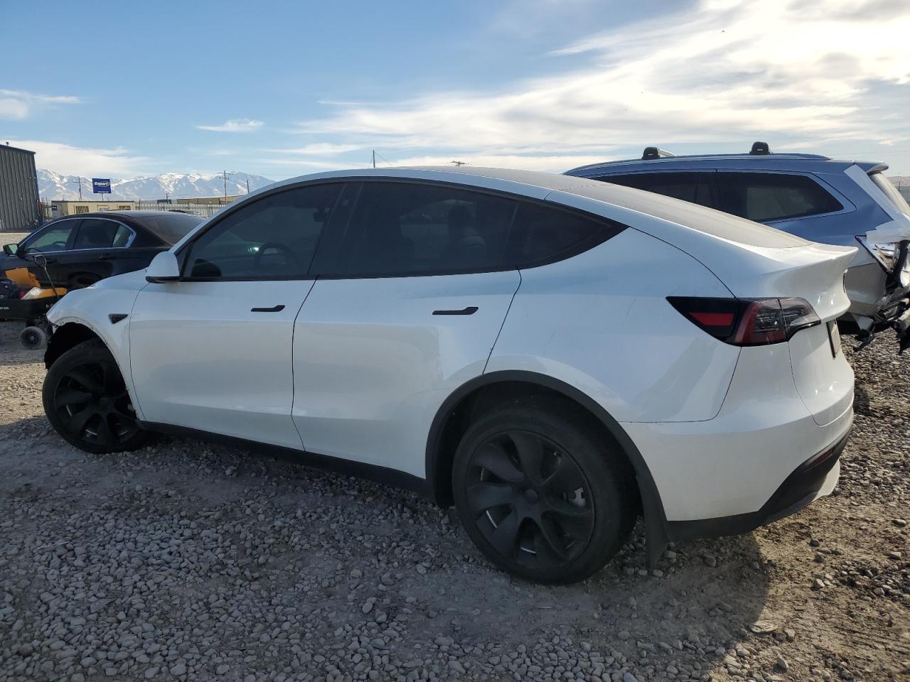 2023 TESLA MODEL Y  VIN:7SAYGDEE2PA115401