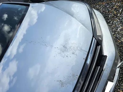 2018 Volkswagen Passat WVWZZZ3CZJE178553 VIN:WVWZZZ3CZJE178553