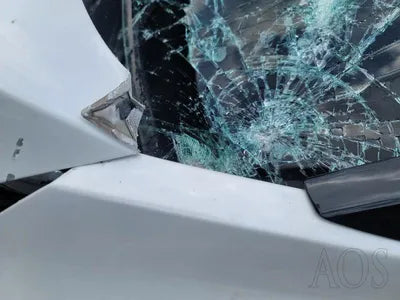 2020 Kia Carnival KNANC81BBMS004700 VIN:KNANC81BBMS004700