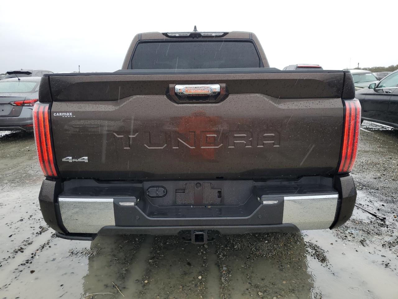 2022 TOYOTA TUNDRA CREWMAX PLATINUM VIN:5TFMA5DB5NX048356