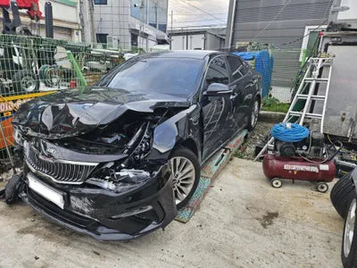2019 Kia K5 KNAGU411BLA346256 VIN:KNAGU411BLA346256