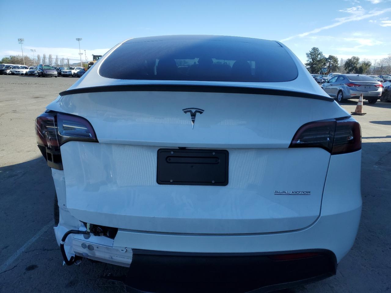 2024 TESLA MODEL Y  VIN:7SAYGDEFXRF117959