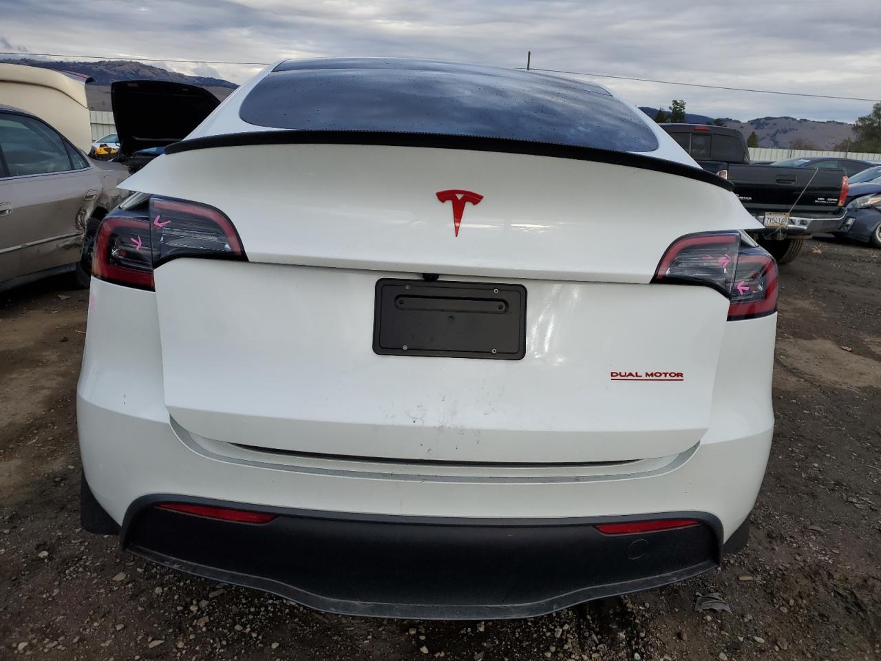 2023 TESLA MODEL Y  VIN:7SAYGDEE5PF813889