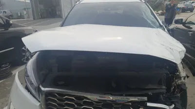 2020 Kia Sorento KNAPH81BDLA635607 VIN:KNAPH81BDLA635607