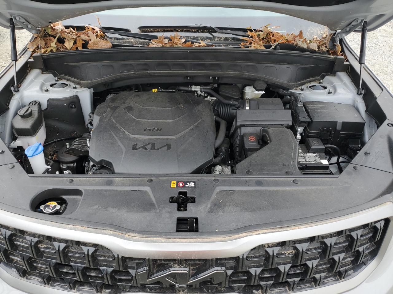 2023 KIA TELLURIDE SX VIN:5XYP5DGC1PG327079