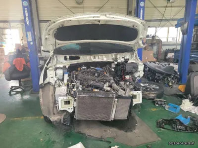 2019 Kia Carnival KNAMB81ABKS502641 VIN:KNAMB81ABKS502641