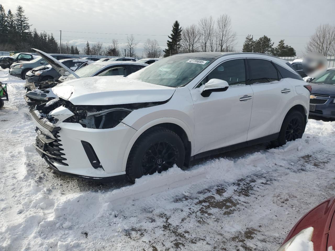 2023 LEXUS RX 350H BASE VIN:2T2BBMCAXPC008634