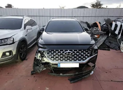 2021 Hyundai Santa FE KMHS381HGMU312915 VIN:KMHS381HGMU312915