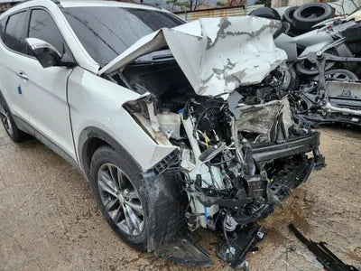 2018 Hyundai Santa FE KMHSW81UBJU796215 VIN:KMHSW81UBJU796215