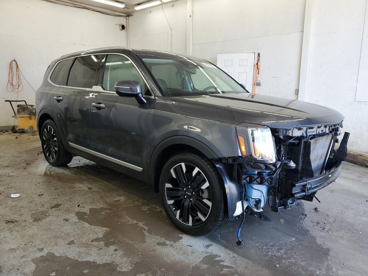 2024 KIA TELLURIDE SX VIN:5XYP5DGC8RG419163