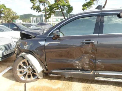 2020 Kia Sorento KNARL81BHMA024710 VIN:KNARL81BHMA024710
