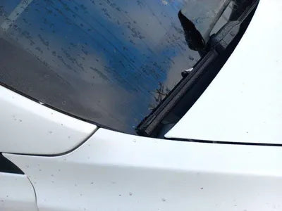 2022 Tesla Model 3 VIN: