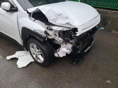 2017 Hyundai Kona KMHK3816GJU004178 VIN:KMHK3816GJU004178