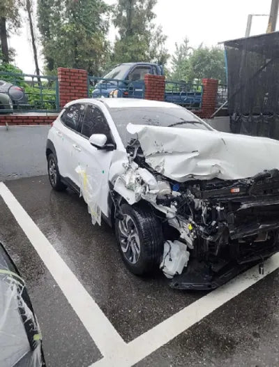 2020 Hyundai Kona KMHK381EGLU046876 VIN:KMHK381EGLU046876