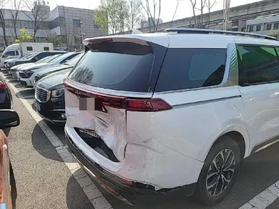 2022 Kia Carnival KNANE81BBNS166263 VIN:KNANE81BBNS166263