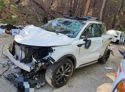 2022 Kia Sorento KNARM81FHNA155884 VIN:KNARM81FHNA155884