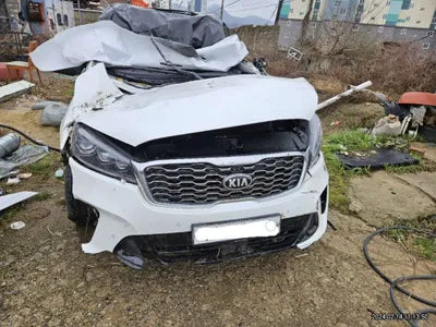 2020 Kia Sorento KNAPH81ABLA599695 VIN:KNAPH81ABLA599695