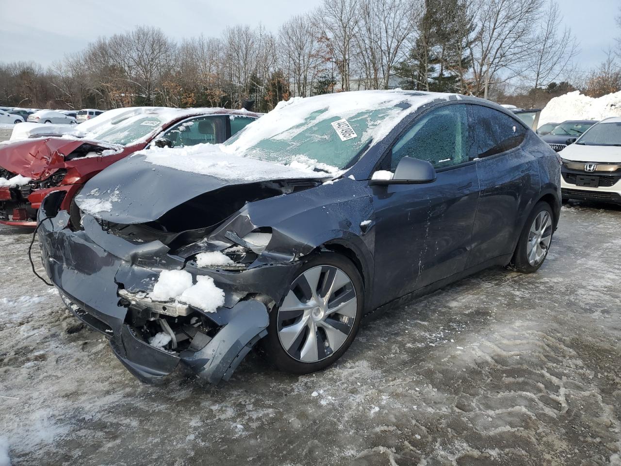 2023 TESLA MODEL Y  VIN:7SAYGAEE8PF895261