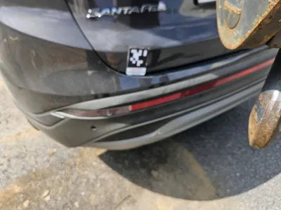 2021 Hyundai Santa FE KMHS381HHMU393701 VIN:KMHS381HHMU393701
