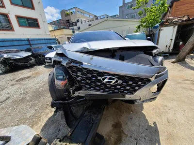 2019 Hyundai Santa FE KMHS381BBKU156411 VIN:KMHS381BBKU156411