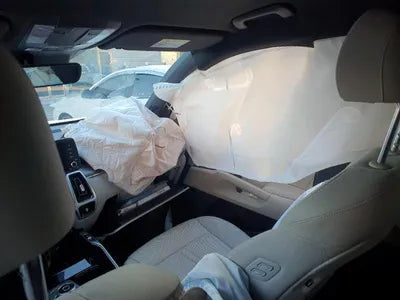2020 Kia Sorento KNARK81GBMA006789 VIN:KNARK81GBMA006789